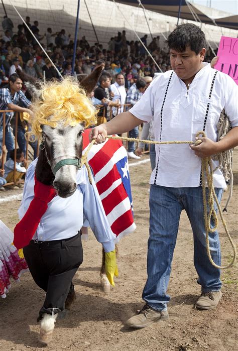 Tijuanas Infamous Donkey Show: A Travelers Guide