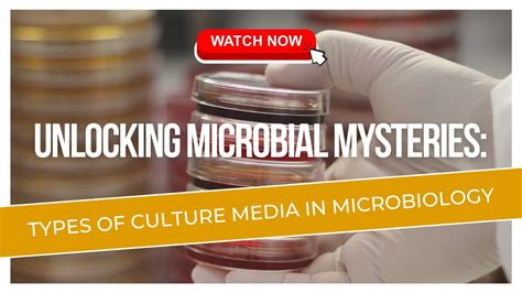 Unlocking Microbiology: 7 Essential Lab Techniques Explained