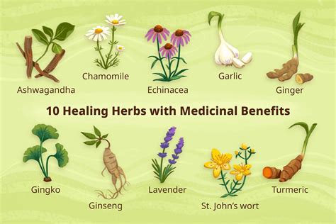 Unlocking Traditional Healing Benefits For Holistic Wellness