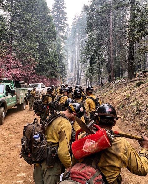 Us Forest Service Hotshots Application Process Revealed