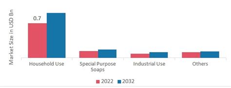 Us Soap Noodles Market: Applications And Growth Insights