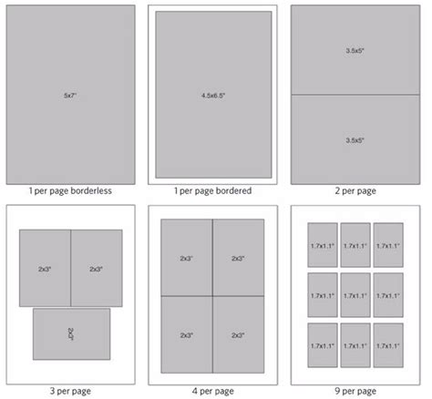 Wallet Size Photo Dimensions Explained Simply