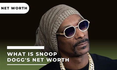 What Happened To Snoop Doggs Career