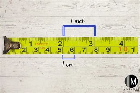 What Is 8 Cm In Real-Life Objects