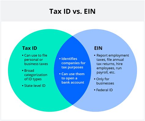 What Is An En Number And Its Uses