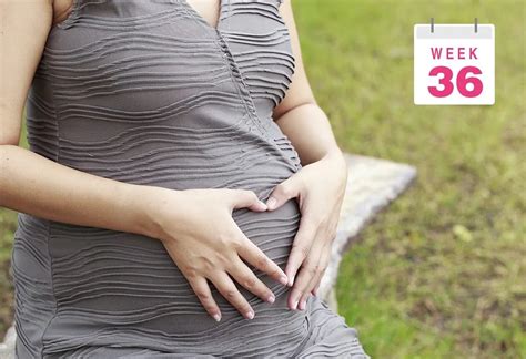 What To Expect At 36 Weeks Pregnant