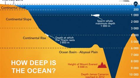 Whats 50 Meters In Depth