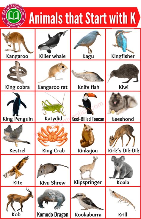 Wild Animals Beginning With K