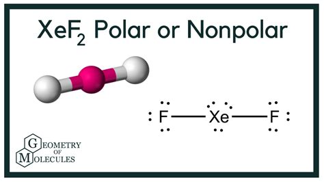 Xef2: Polar Or Nonpolar Molecule Explained